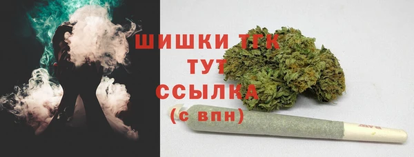 PSILOCYBIN Балахна